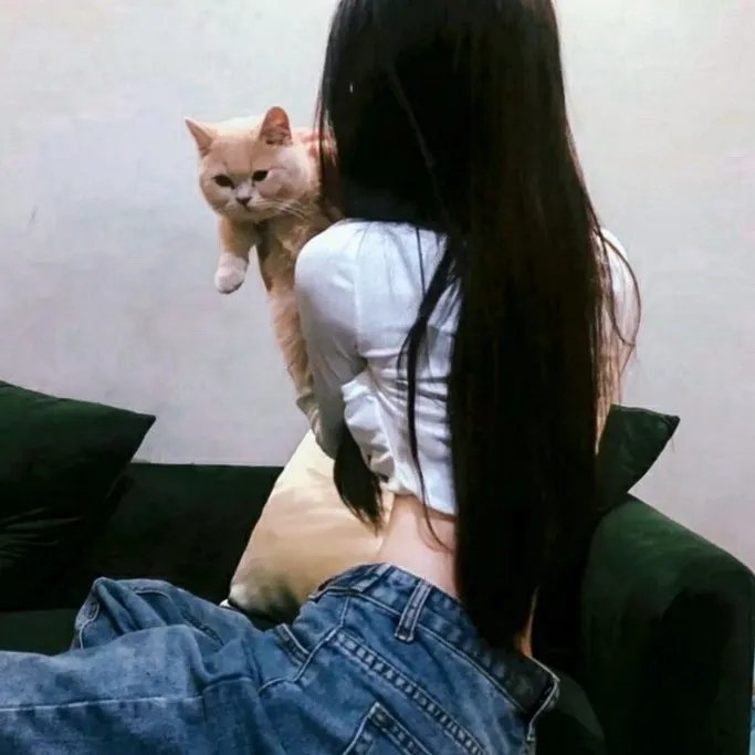 逃妻追追追